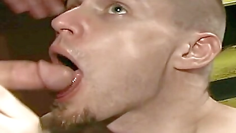 Cocksucking Party