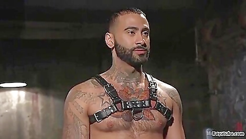 Astonishing Adult Movie Homosexual Tattoo Only Here