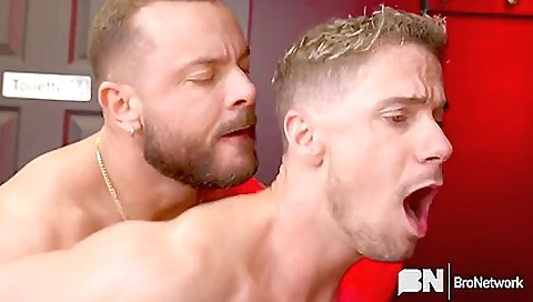 Working Late Sir Peter & Skyy Knox