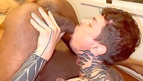 Robert Royal Gael Kriok