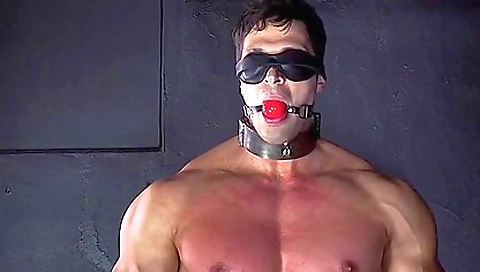 Crazy Porn Movie Homo Bdsm Great Exclusive Version